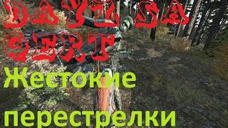 Dayz Жестокие перестрелки