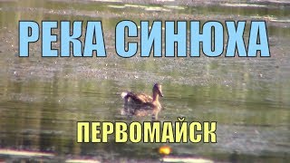 Река Синюха в Первомайске
