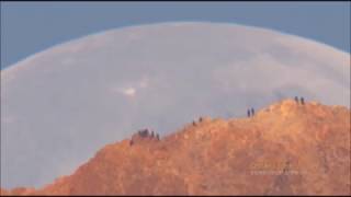 Луна падает на Землю. Огромную Луну сняли на видео. 1 апреля 2019 года Луна упадет на Землю.