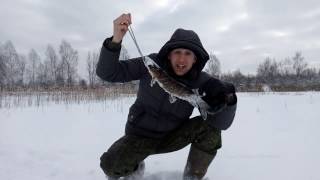 Ловля Щуки на Жерлицы. Зимняя Рыбалка на Платном Водоеме. Беларусь.