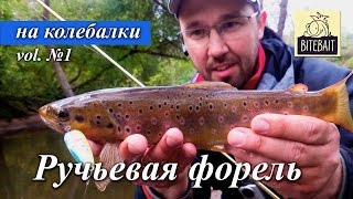 Ловля форели на колебалки. Как поймать пеструшку (ручьевую форель) на колеблющиеся блёсны. BiteBait