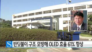 반딧불이 구조 모방해 OLED 효율 61% 향상 / YTN 사이언스