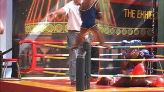 Orangutan Boxing Show