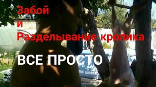 ?+18！Забой и Разделывание кролика.