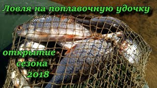 ловля на поплавочную удочку  отрытие сезона 2018