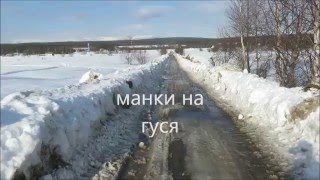 манок на гуся