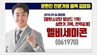 [문현진의 종목 길잡이] 2018.09.04 방탄소년단 빌보드 1위에 상한가 기록! 엘비세미콘(061970) 매매전략공개!