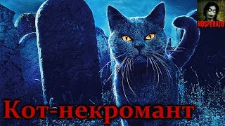 Истории на ночь - Кот-некромант