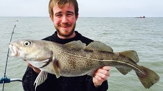 Sea Fishing For Cod & Thornback Rays