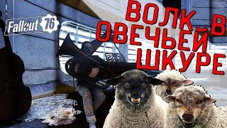 Fallout 76 Wild Appalachia - Волк в Овечьей Шкуре. Тайник, место поимки и событие Мухобой