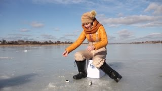Зимняя рыбалка Ловля окуня зимой на мормышку Днепропетровск видео