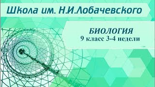 Биология 9 класс 3-4 недели. Царства живых организмов