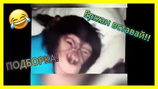 Ержан вставай на работу пора(подборка)