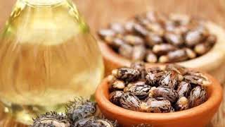 इन ब्यूटी टिप्स से बनाए अपनी आईब्रो काला घना और मोटा