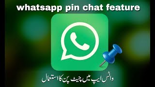 what is chat pinned in whatsapp||pin chat line||pin chat meaning||pin chat in whatsapp||master color