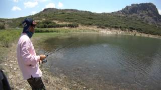 Fishing with DUO #14: Poco Poco VS Small Chub