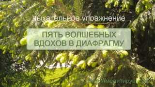 Упражнение "Пять волшебных вдохов"