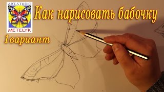 Как научиться рисовать бабочку.