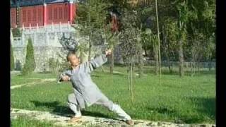 Shaolin Monk 8 Pieces of Brocade (Baduan Jin)