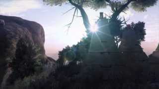Unity 3D environment