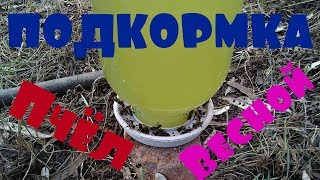 Подкормка пчел весной.сахарным сиропом.Стимуляция пчёл к выращиванию расплода.Пасека весной
