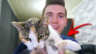 MEU GATO DE ESTIMAÇÃO!!! - VLOG