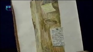 Уроки рисования (№ 59) акварелью. Рисуем "обманку". Изучаем технику "отмывка"