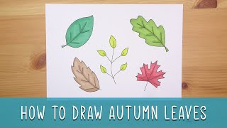How to draw easy autumn leaves - Easy things to draw