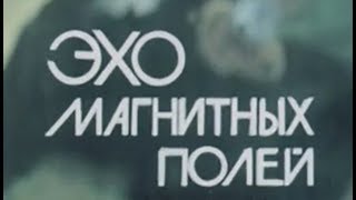 Эхо магнитных полей