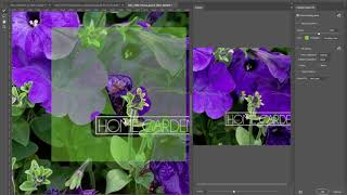 포토샵 CC 2019 새 기능 Content Aware Fill (내용 인식 채우기)