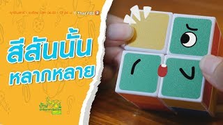 สีสันนั้นหลากหลาย : บ้านนักวิทยาศาสตร์น้อย (26 ต.ค. 62)