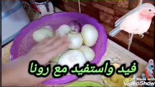 طريقة تفريز البصل المفروم / اسهل طريقة لحفظ البصل المفروم