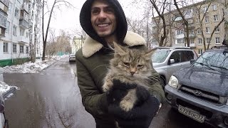 Катя держалась до последнего. Спасти котят. Заруба с Нариманом