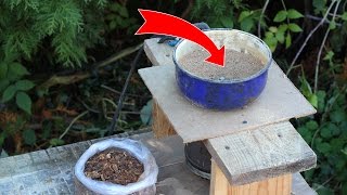 КАК ОЧИСТИТЬ ПРОПОЛИС ПЧЕЛИНЫЙ ОТ ВОСКА И ПРИМЕСЕЙ?