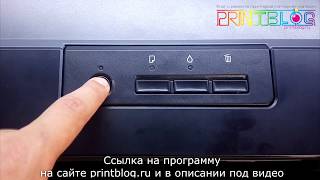 Сброс памперса. Epson L1300 Adjustment program