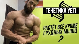 Не растут Грудные Мышцы (Моя генетика, Соотношение ММВ и БМВ)