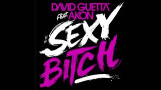 David Guetta ft Akon - Sexy Bitch (HQ)