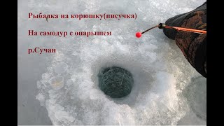 Зимняя рыбалка на писуча. Зимняя рыбалка на корюшку. Зимняя рыбалка.