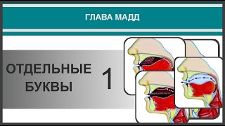 Айман Сувейд. 21. Отдельные буквы Корана 1 (с субтитрами на русском)