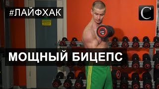 Лайфхак. Тренировка с Романом Курцыным. Делаем бицепс. Кострома