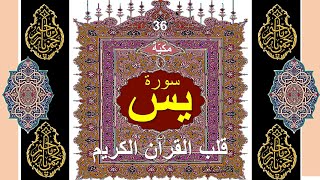 قلب القرآن الكريم سورة يس إعداد الدكتور احمد عبد اللطيف احمد عبد اللطيف ابومدين