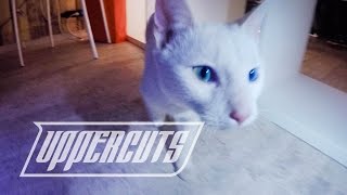 Новый DIPLO! Новая тачка DJ MOS! Новый клип FOLKPRO x FEDUK! Новый Год!
