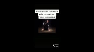 Самая большая подборка ебанутой мыши из ТикТока