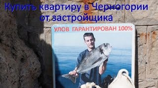Купить квартиру в Черногории от застройщика | Недвижимость у моря в Черногории