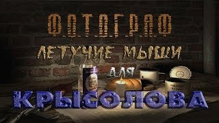 Летучие мыши для Крысолова в моде Фотограф - S.T.A.L.K.E.R.: Т.Ч.