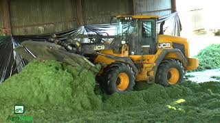 Silage 2018. JCB 435S On The Pit