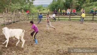 Range Calves: The 2017 Ilocos Sur Invitational Rodeo Tournament