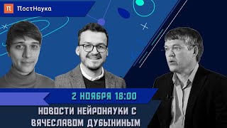 Новости нейронауки с Вячеславом Дубыниным / Рубка ПостНауки