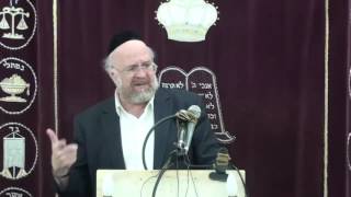 הרב ברוך רוזנבלום פרשת שמות 10 תשע״ז Rabbi Baruch Rosenblum