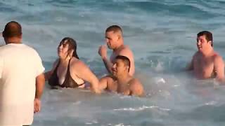 Все дельфины в ураган уплывают в океан